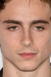 Timothée Chalamet
