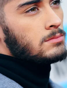 Zayn Malik